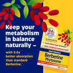 Enzymedica Berberine Phytosome® | 60 Capsules