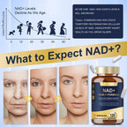 Totaria NAD+ 13-in-1 Formula | 120 Capsules