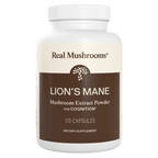 Real Mushrooms Lion's Mane - main