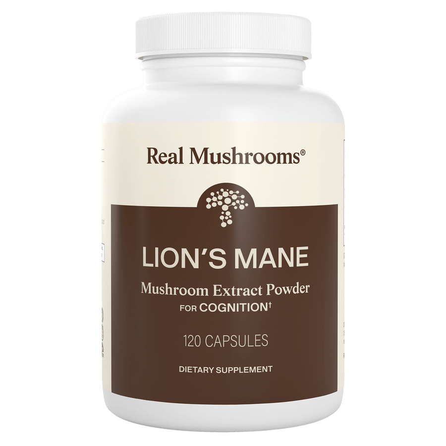 Real Mushrooms Lion's Mane - main